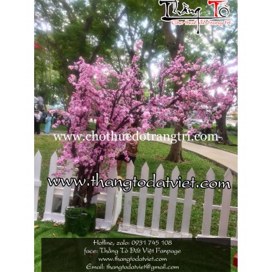 cho thuê cảnh Nhật Bản 7